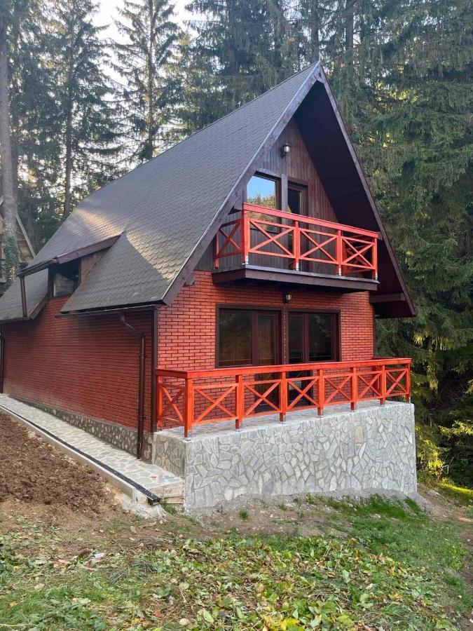 Casa Familiei Villa Brasov Luaran gambar