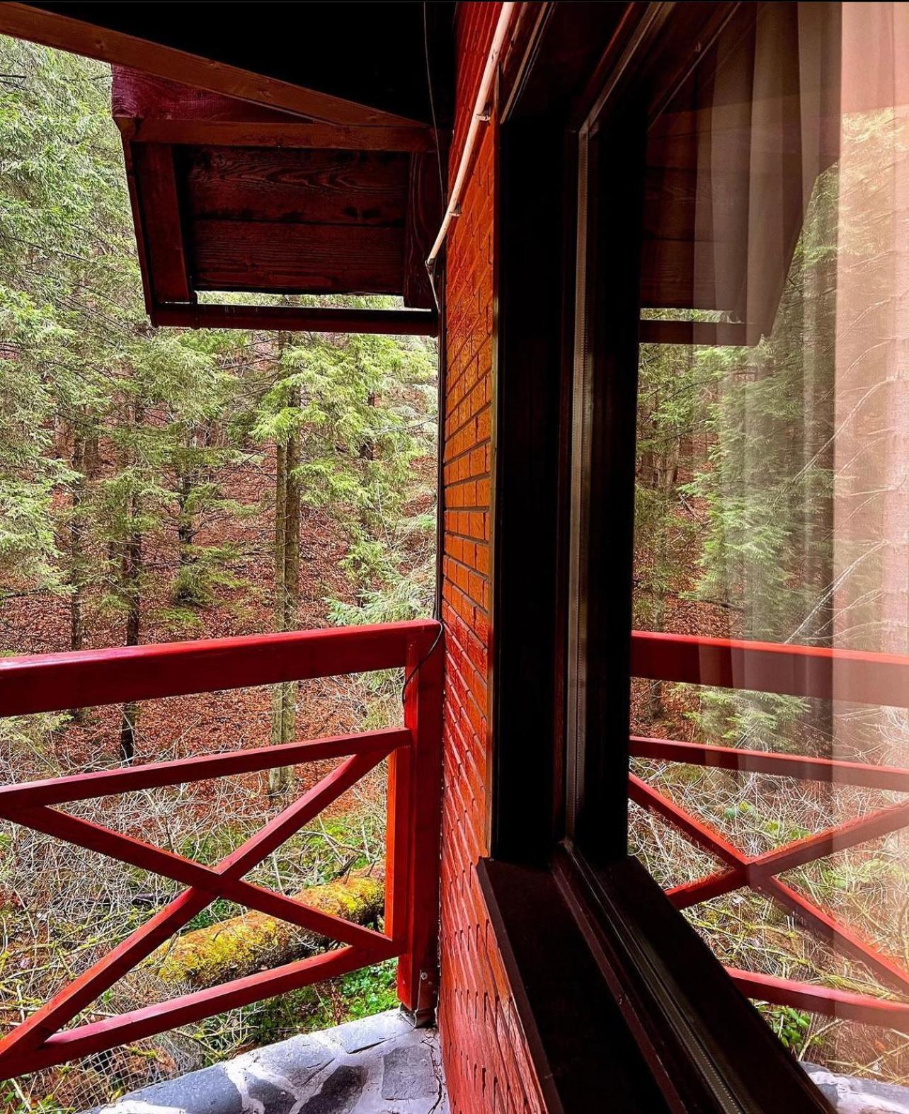 Casa Familiei Villa Brasov Luaran gambar